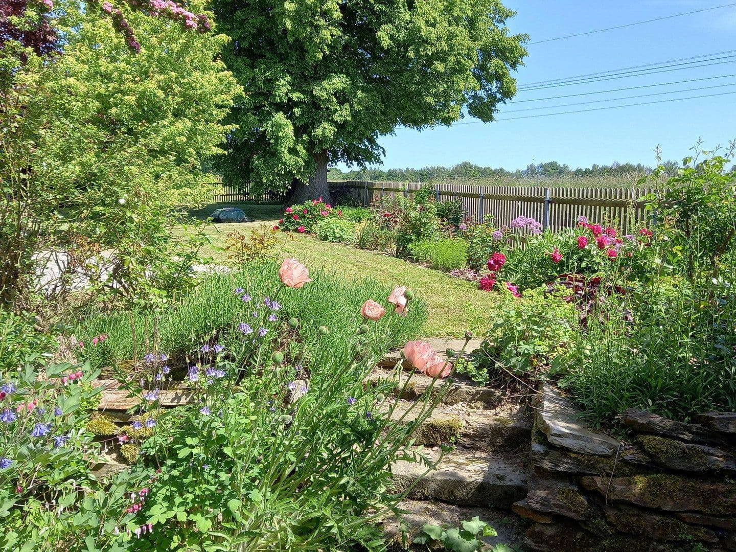 house for sale, 329 m², St. Egidien, Saxony house for sale, 329 m², St. Egidien, Saxony