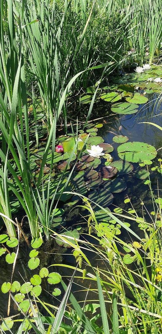 house for sale, 400 m², Gößweinstein, Bavaria house for sale, 400 m², Gößweinstein, Bavaria