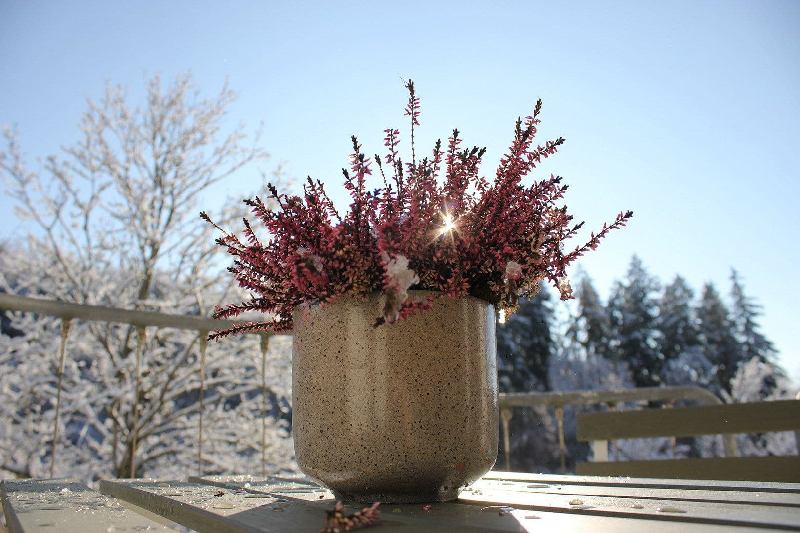 2 bedroom flat to rent, 45 m², Uhingen, Baden-Württemberg 2 bedroom flat to rent, 45 m², Uhingen, Baden-Württemberg