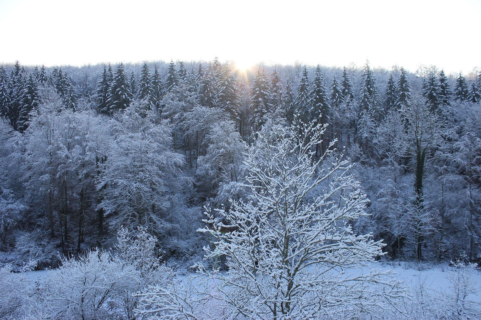 2 bedroom flat to rent, 45 m², Uhingen, Baden-Württemberg 2 bedroom flat to rent, 45 m², Uhingen, Baden-Württemberg