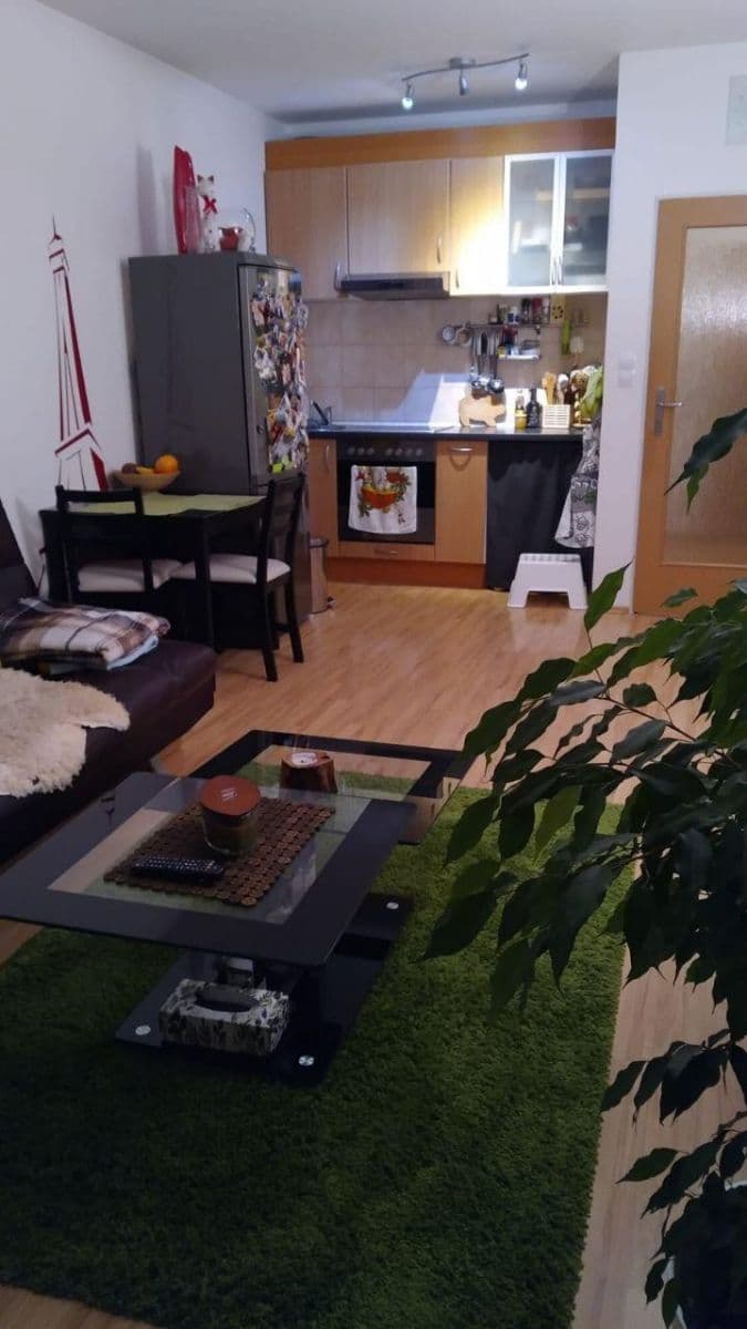 1 bedroom with open-plan kitchen flat to rent, 46 m², Pod Harfou, Prague, Prague 1 bedroom with open-plan kitchen flat to rent, 46 m², Pod Harfou, Prague, Prague