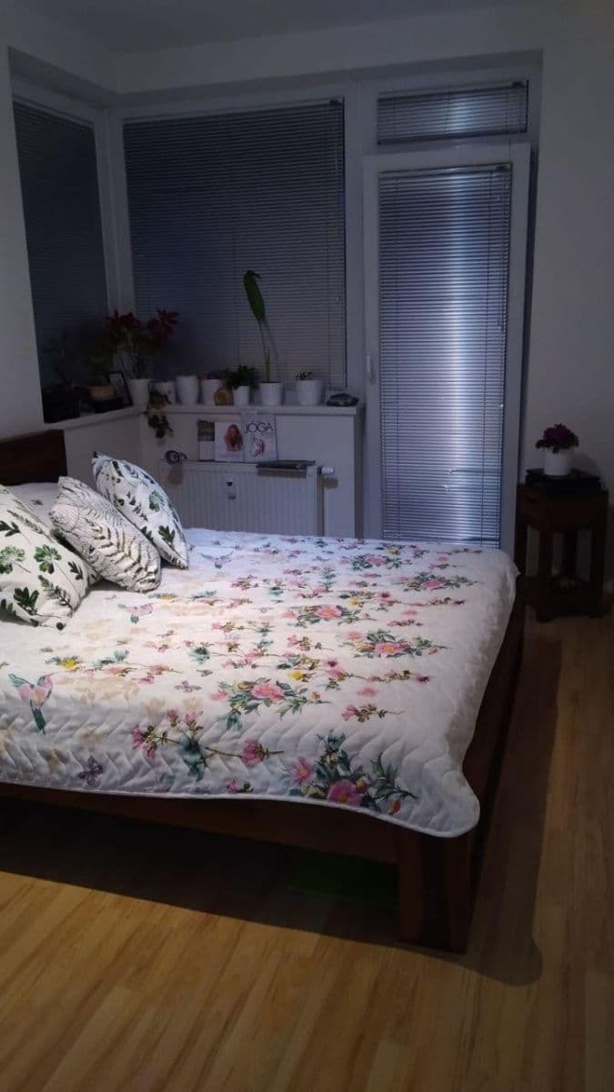 1 bedroom with open-plan kitchen flat to rent, 46 m², Pod Harfou, Prague, Prague 1 bedroom with open-plan kitchen flat to rent, 46 m², Pod Harfou, Prague, Prague