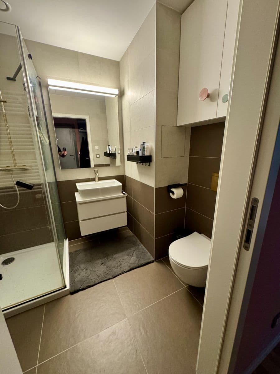 1 bedroom with open-plan kitchen flat to rent, 63 m², Na Farkáně Ⅰ, Prague, Prague 1 bedroom with open-plan kitchen flat to rent, 63 m², Na Farkáně Ⅰ, Prague, Prague