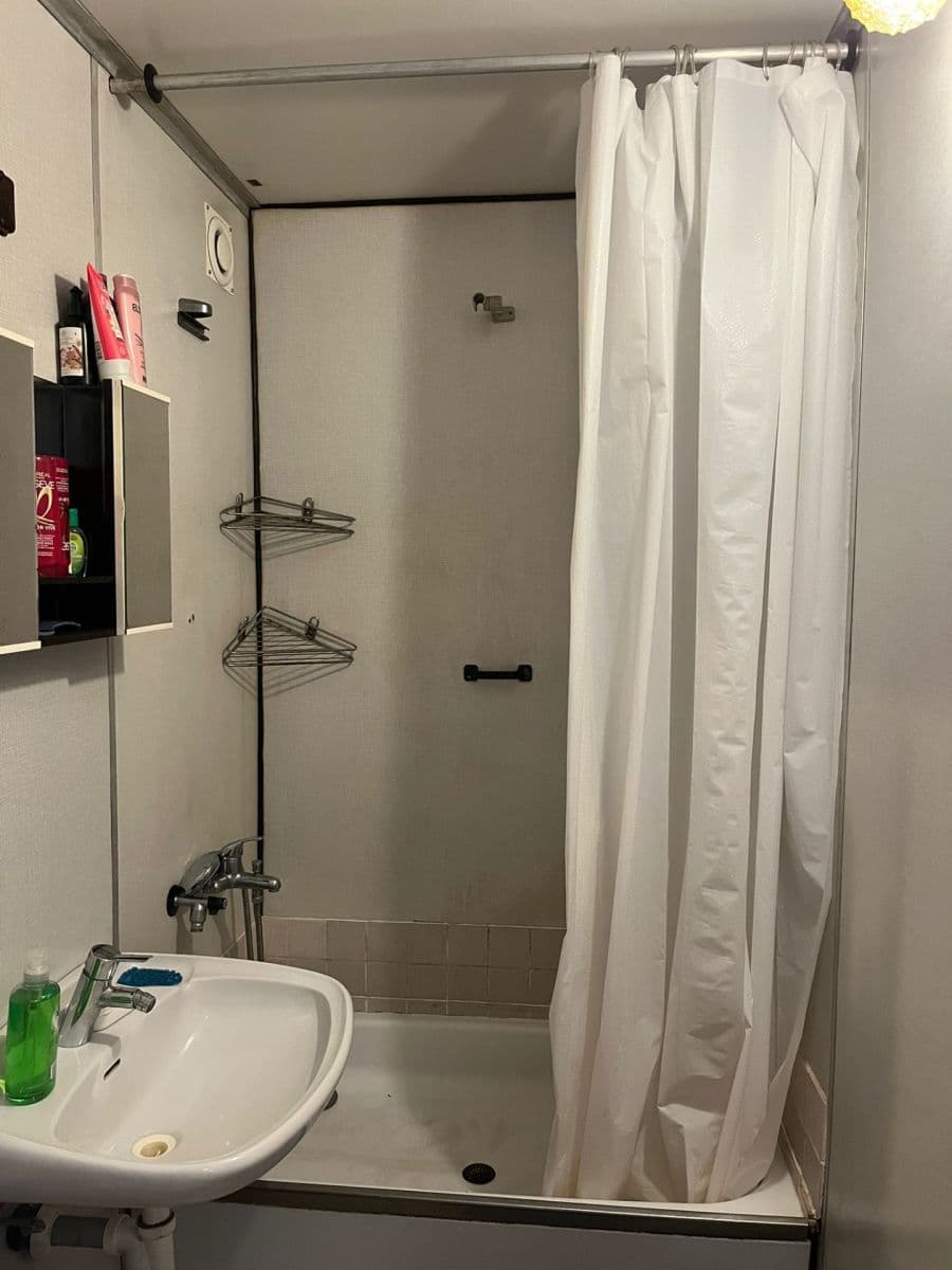 1 bedroom with open-plan kitchen flat to rent, 43 m², Doležalova, Prague, Prague 1 bedroom with open-plan kitchen flat to rent, 43 m², Doležalova, Prague, Prague