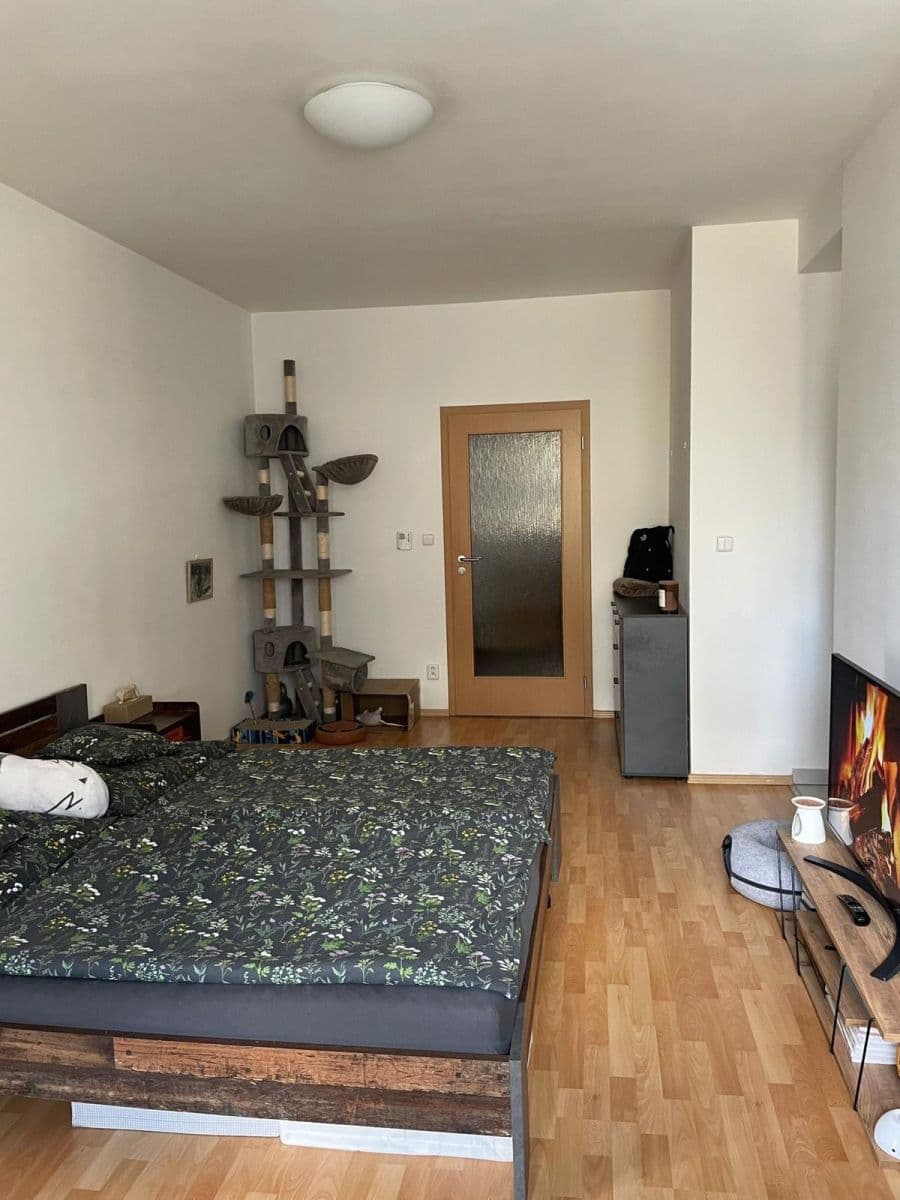 Studio flat to rent, 48 m², U Leskavy, Brno, Jihomoravský Region Studio flat to rent, 48 m², U Leskavy, Brno, Jihomoravský Region