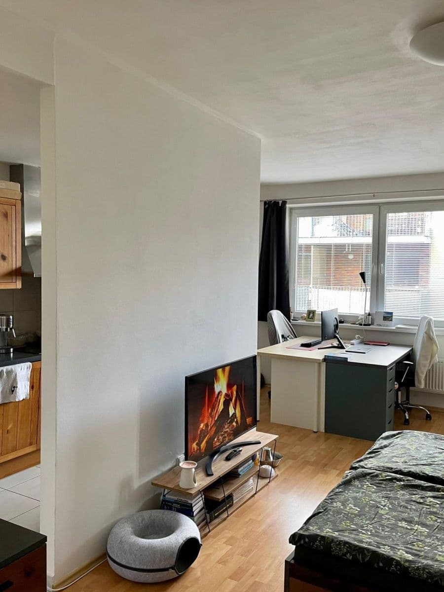 Studio flat to rent, 48 m², U Leskavy, Brno, Jihomoravský Region Studio flat to rent, 48 m², U Leskavy, Brno, Jihomoravský Region