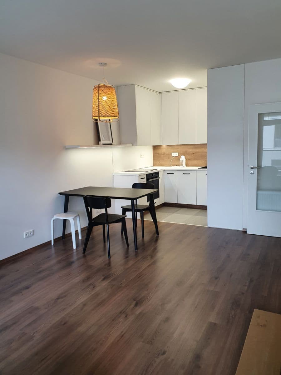 1 bedroom with open-plan kitchen flat to rent, 62 m², Nemocniční, Plzeň, Plzeňský Region 1 bedroom with open-plan kitchen flat to rent, 62 m², Nemocniční, Plzeň, Plzeňský Region