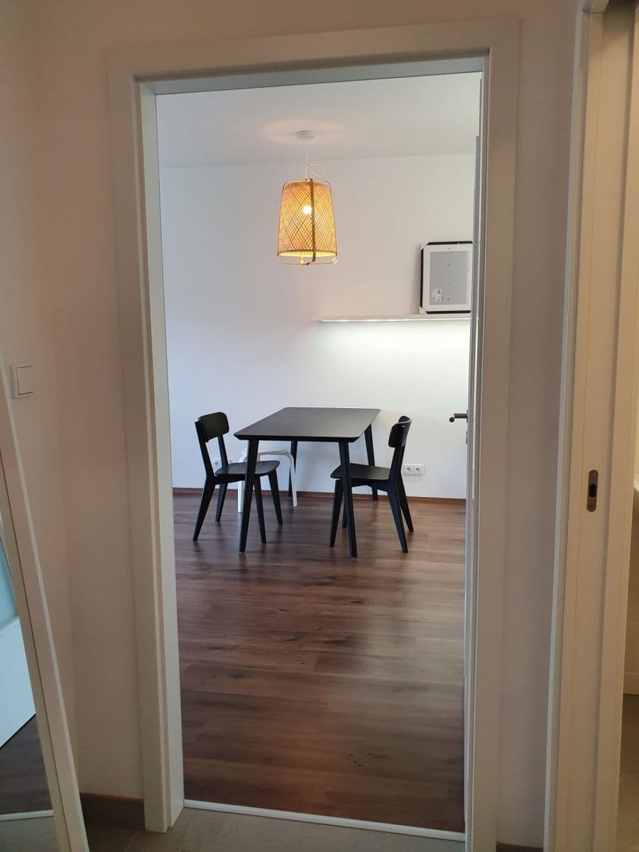 1 bedroom with open-plan kitchen flat to rent, 62 m², Nemocniční, Plzeň, Plzeňský Region 1 bedroom with open-plan kitchen flat to rent, 62 m², Nemocniční, Plzeň, Plzeňský Region