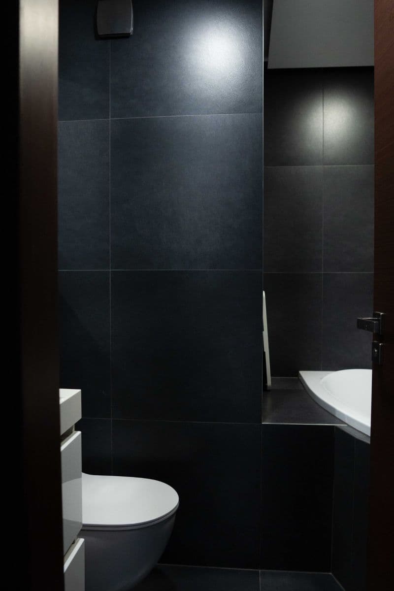 2 bedroom with open-plan kitchen flat to rent, 74 m², K Červenému vrchu, Prague, Prague 2 bedroom with open-plan kitchen flat to rent, 74 m², K Červenému vrchu, Prague, Prague