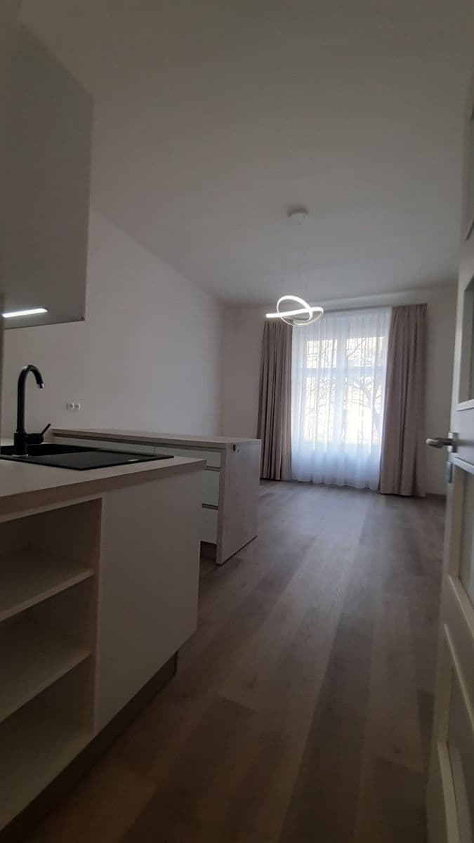 1 bedroom with open-plan kitchen flat to rent, 54 m², Blodkova, Prague, Prague 1 bedroom with open-plan kitchen flat to rent, 54 m², Blodkova, Prague, Prague