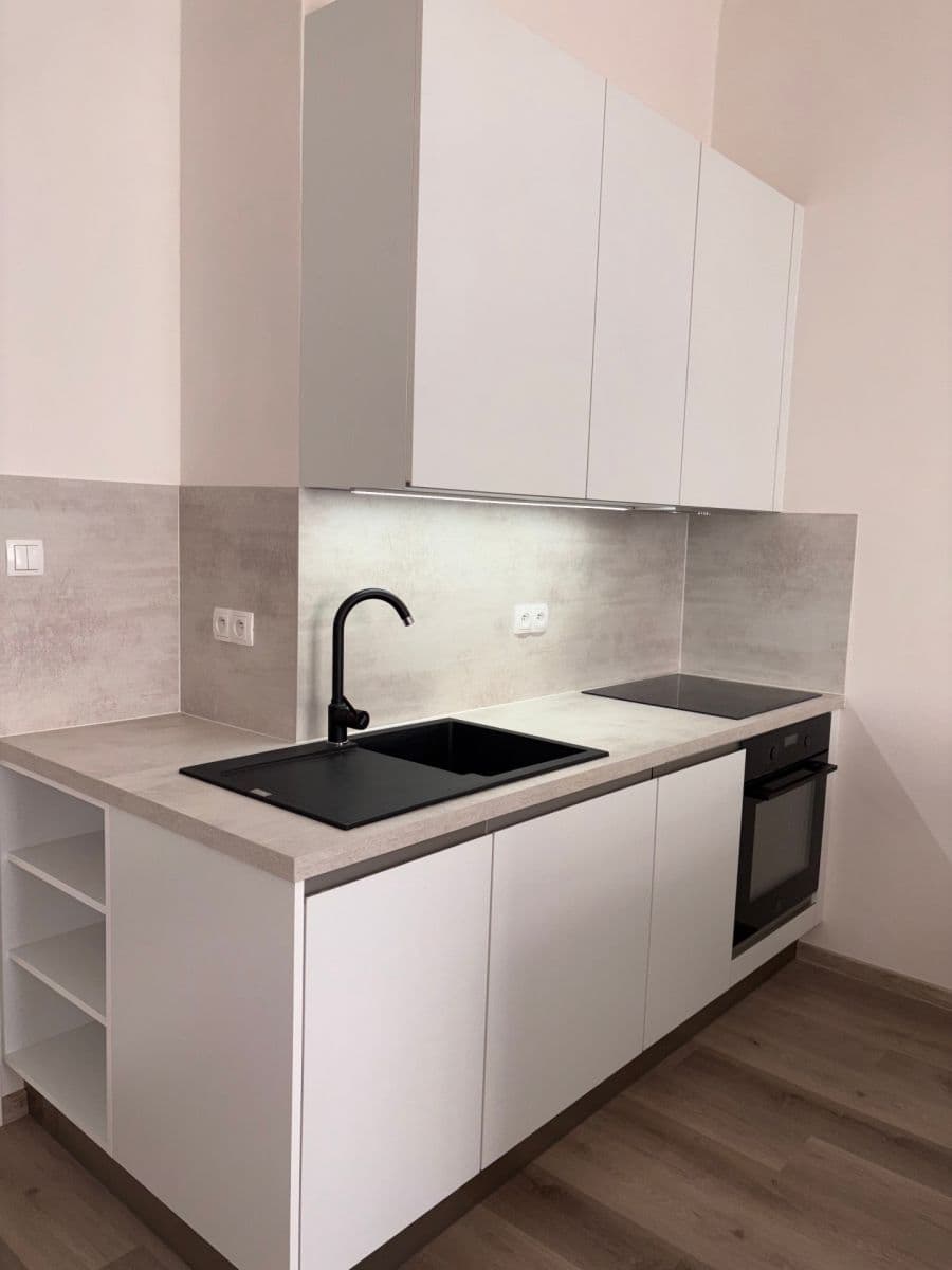 1 bedroom with open-plan kitchen flat to rent, 54 m², Blodkova, Prague, Prague 1 bedroom with open-plan kitchen flat to rent, 54 m², Blodkova, Prague, Prague