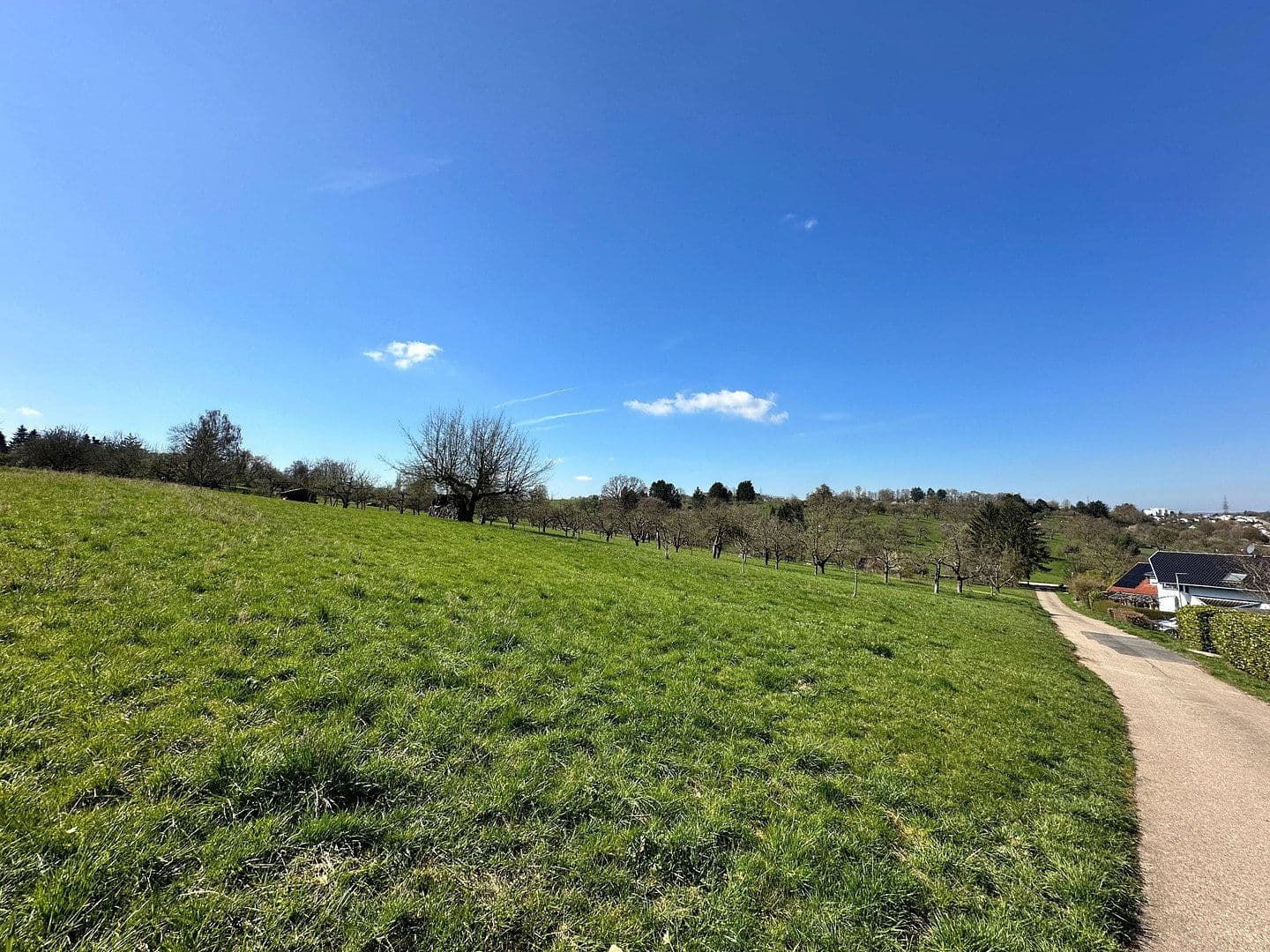 house for sale, 207 m², Deizisau, Baden-Württemberg house for sale, 207 m², Deizisau, Baden-Württemberg