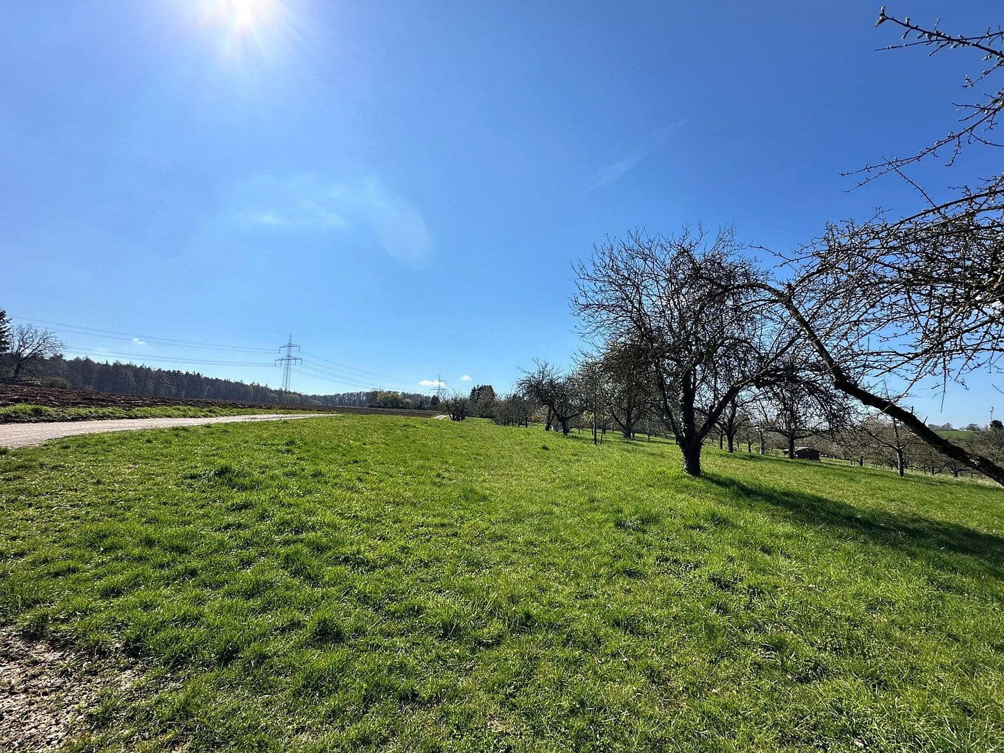 house for sale, 207 m², Deizisau, Baden-Württemberg house for sale, 207 m², Deizisau, Baden-Württemberg