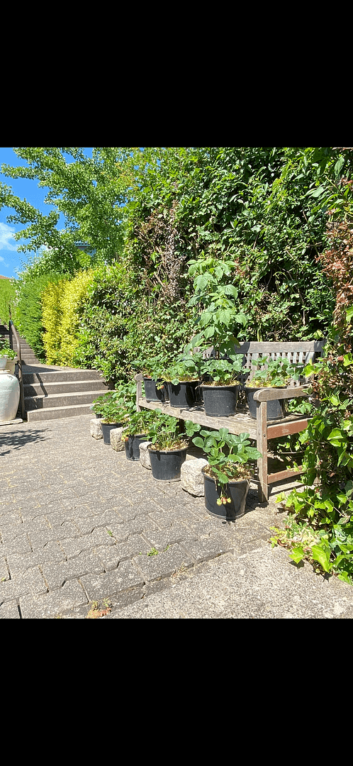 house for sale, 110 m², Weissach, Baden-Württemberg house for sale, 110 m², Weissach, Baden-Württemberg