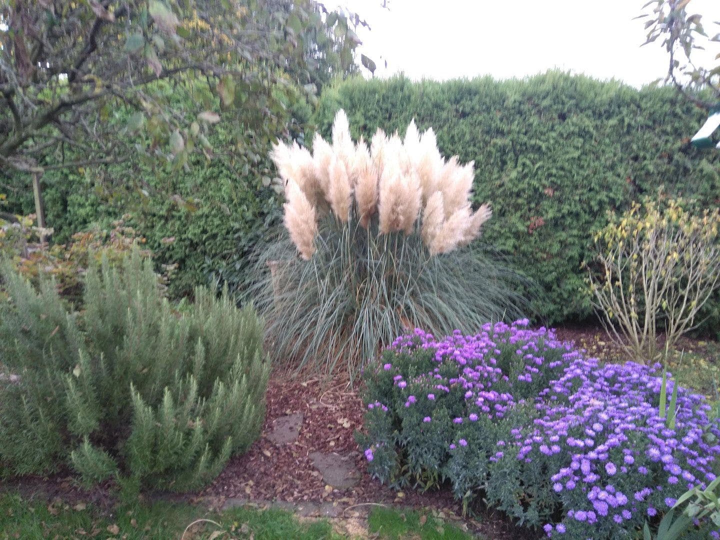 house for sale, 185 m², Wülfrath, North Rhine-Westphalia house for sale, 185 m², Wülfrath, North Rhine-Westphalia