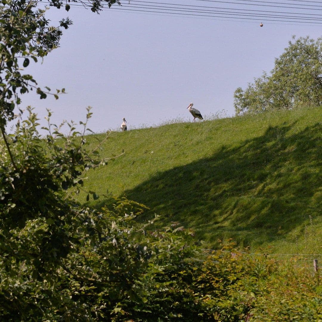 house for sale, 188 m², Bahrenfleth, Schleswig-Holstein house for sale, 188 m², Bahrenfleth, Schleswig-Holstein