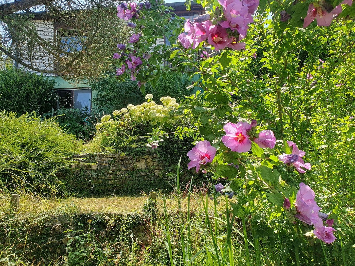 house for sale, 199 m², Diezenthalweg 2, Buggingen, Baden-Württemberg house for sale, 199 m², Diezenthalweg 2, Buggingen, Baden-Württemberg