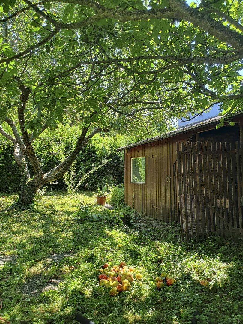 house for sale, 199 m², Diezenthalweg 2, Buggingen, Baden-Württemberg house for sale, 199 m², Diezenthalweg 2, Buggingen, Baden-Württemberg