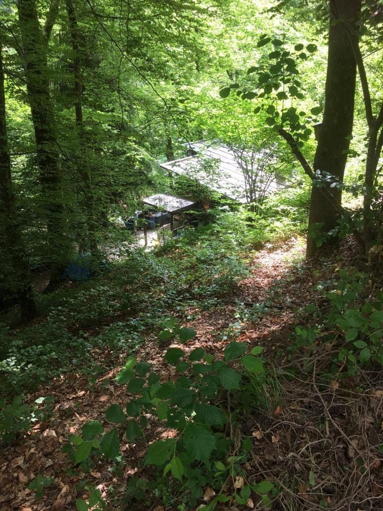plot for sale, 3,218 m², Zell im Wiesental, Baden-Württemberg plot for sale, 3,218 m², Zell im Wiesental, Baden-Württemberg