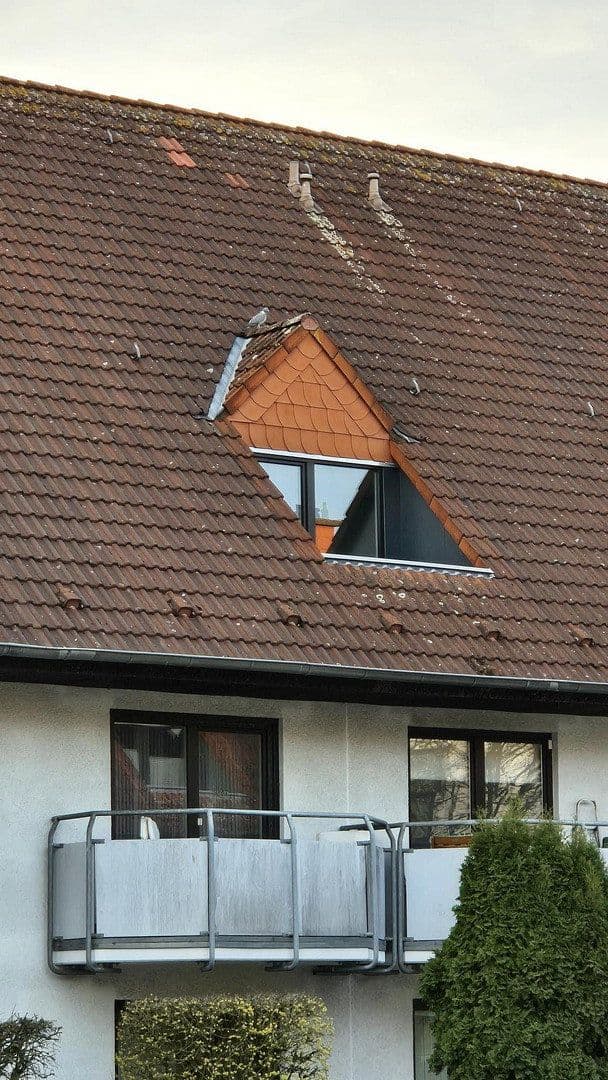 1 bedroom flat to rent, 26 m², Zur Friedrichsburg 14, Greven, North Rhine-Westphalia 1 bedroom flat to rent, 26 m², Zur Friedrichsburg 14, Greven, North Rhine-Westphalia