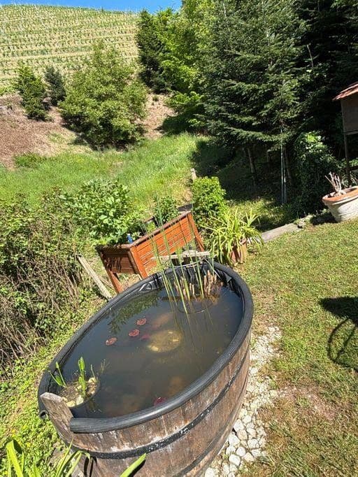 house for sale, 296 m², Oberkirch, Baden-Württemberg house for sale, 296 m², Oberkirch, Baden-Württemberg