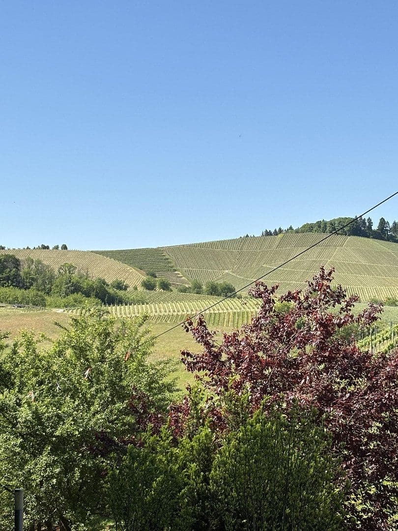 house for sale, 296 m², Oberkirch, Baden-Württemberg house for sale, 296 m², Oberkirch, Baden-Württemberg