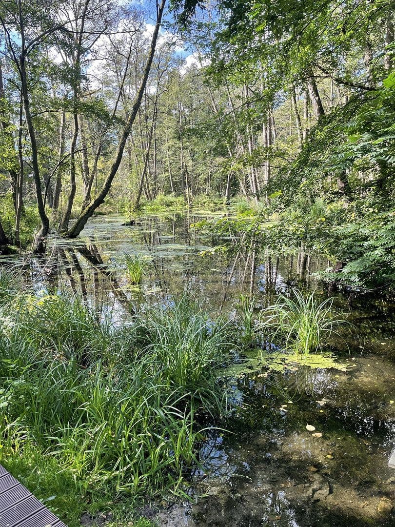 house for sale, 127 m², Birkenwerder, Brandenburg house for sale, 127 m², Birkenwerder, Brandenburg