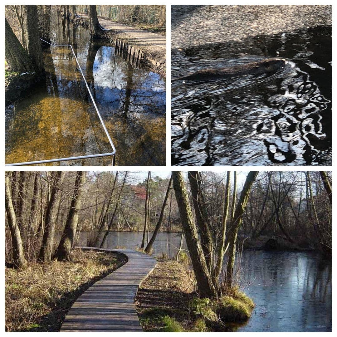 house for sale, 127 m², Birkenwerder, Brandenburg house for sale, 127 m², Birkenwerder, Brandenburg