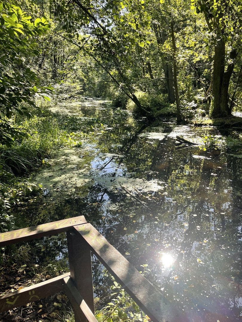 house for sale, 127 m², Birkenwerder, Brandenburg house for sale, 127 m², Birkenwerder, Brandenburg