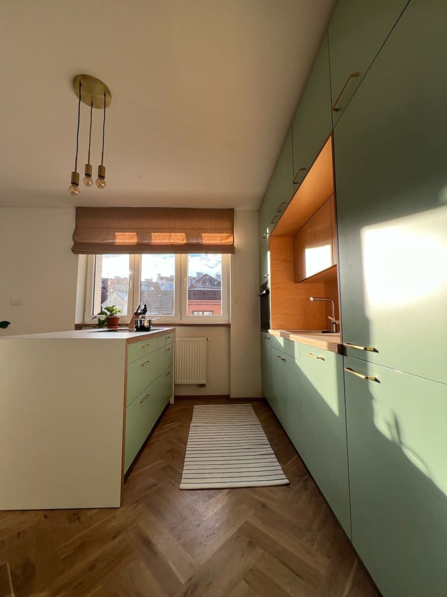 1 bedroom with open-plan kitchen flat for sale, 81 m², Gruzínská, Plzeň, Plzeňský Region 1 bedroom with open-plan kitchen flat for sale, 81 m², Gruzínská, Plzeň, Plzeňský Region