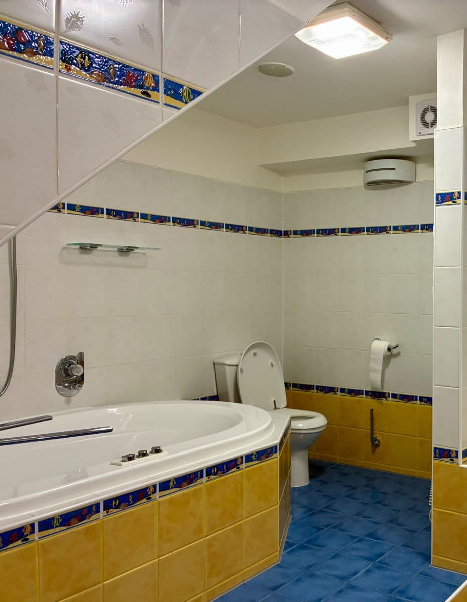 1 bedroom with open-plan kitchen flat to rent, 60 m², Českomalínská, Prague, Prague 1 bedroom with open-plan kitchen flat to rent, 60 m², Českomalínská, Prague, Prague