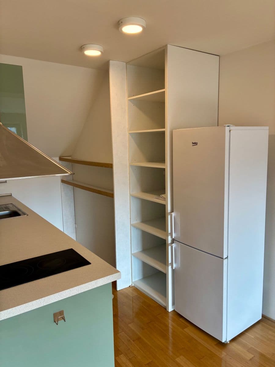 1 bedroom with open-plan kitchen flat to rent, 60 m², Českomalínská, Prague, Prague 1 bedroom with open-plan kitchen flat to rent, 60 m², Českomalínská, Prague, Prague