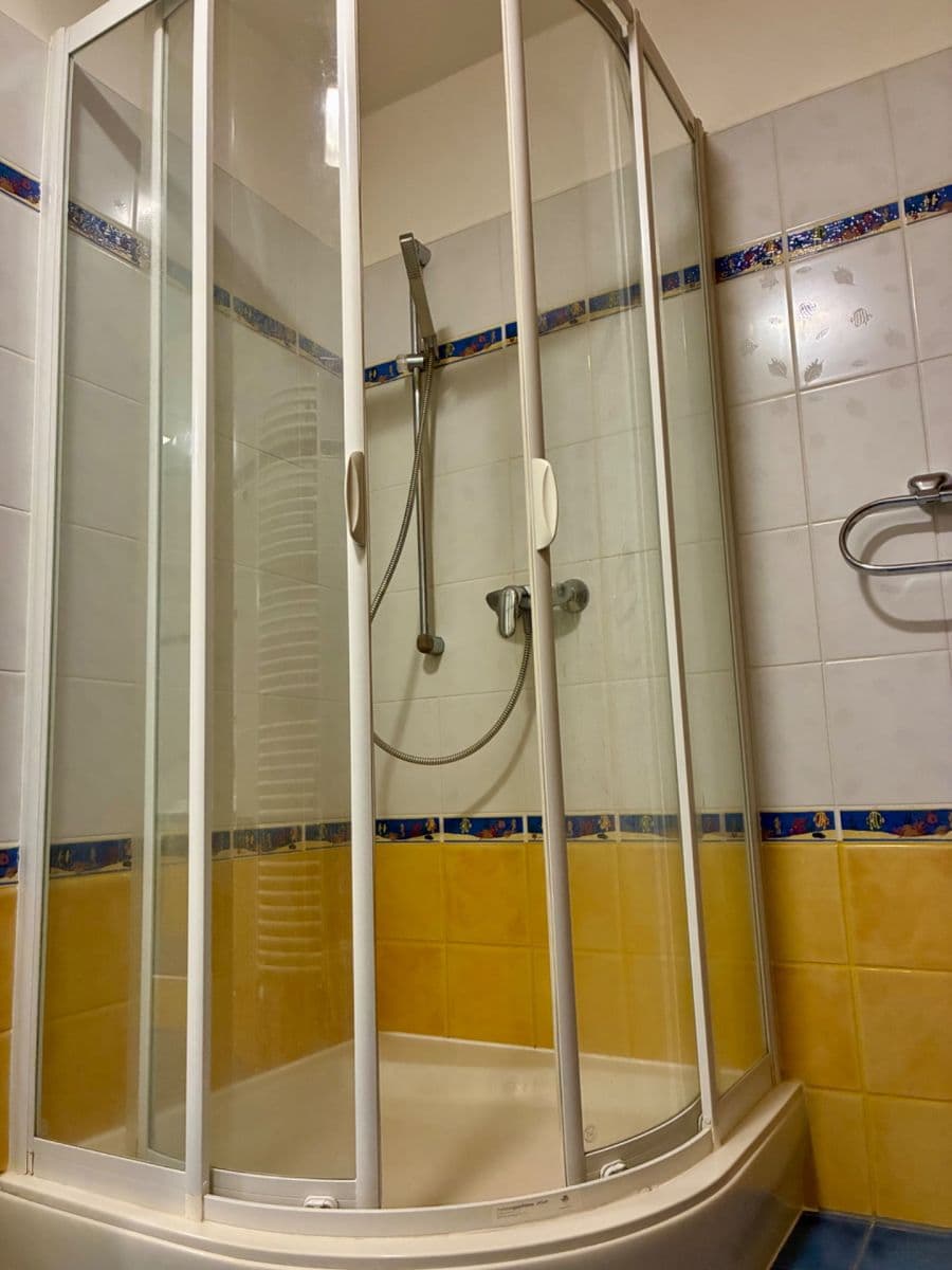 1 bedroom with open-plan kitchen flat to rent, 60 m², Českomalínská, Prague, Prague 1 bedroom with open-plan kitchen flat to rent, 60 m², Českomalínská, Prague, Prague