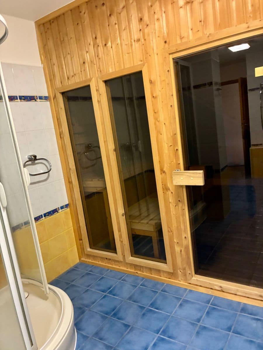 1 bedroom with open-plan kitchen flat to rent, 60 m², Českomalínská, Prague, Prague 1 bedroom with open-plan kitchen flat to rent, 60 m², Českomalínská, Prague, Prague