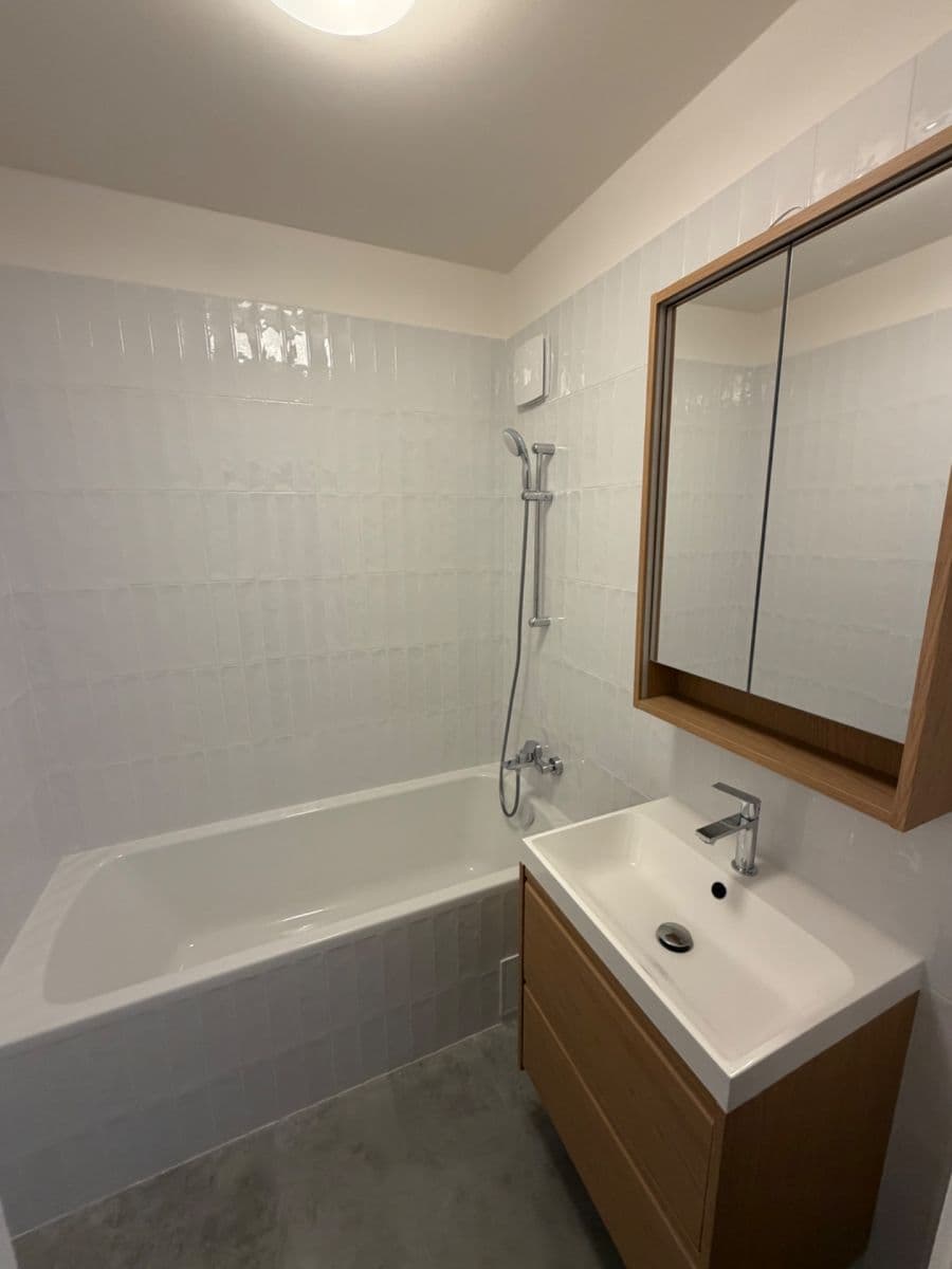 2 bedroom with open-plan kitchen flat to rent, 59 m², V Dolině, Prague, Prague 2 bedroom with open-plan kitchen flat to rent, 59 m², V Dolině, Prague, Prague