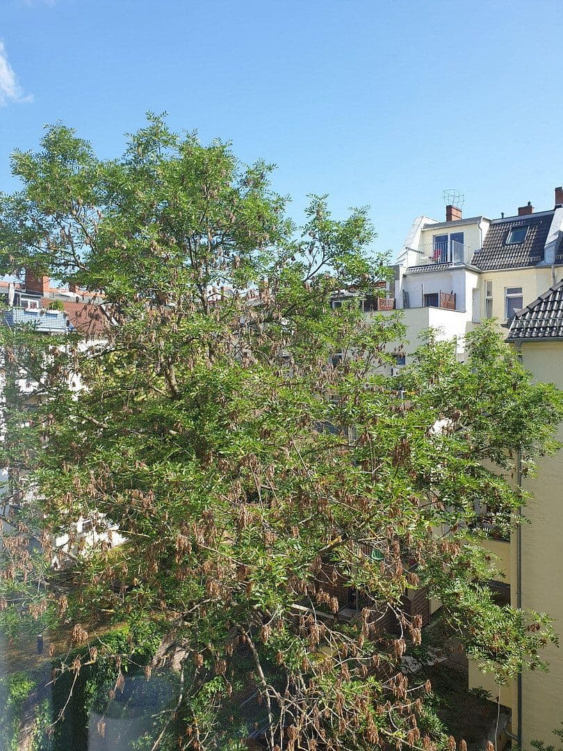 5 bedroom flat for sale, 116 m², Scheiblerstr., Berlin, Berlin 5 bedroom flat for sale, 116 m², Scheiblerstr., Berlin, Berlin