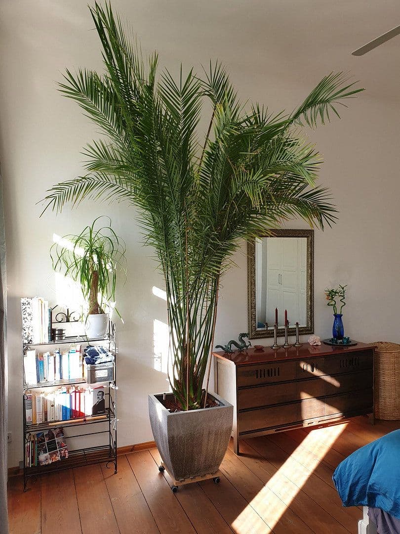 5 bedroom flat for sale, 116 m², Scheiblerstr., Berlin, Berlin 5 bedroom flat for sale, 116 m², Scheiblerstr., Berlin, Berlin