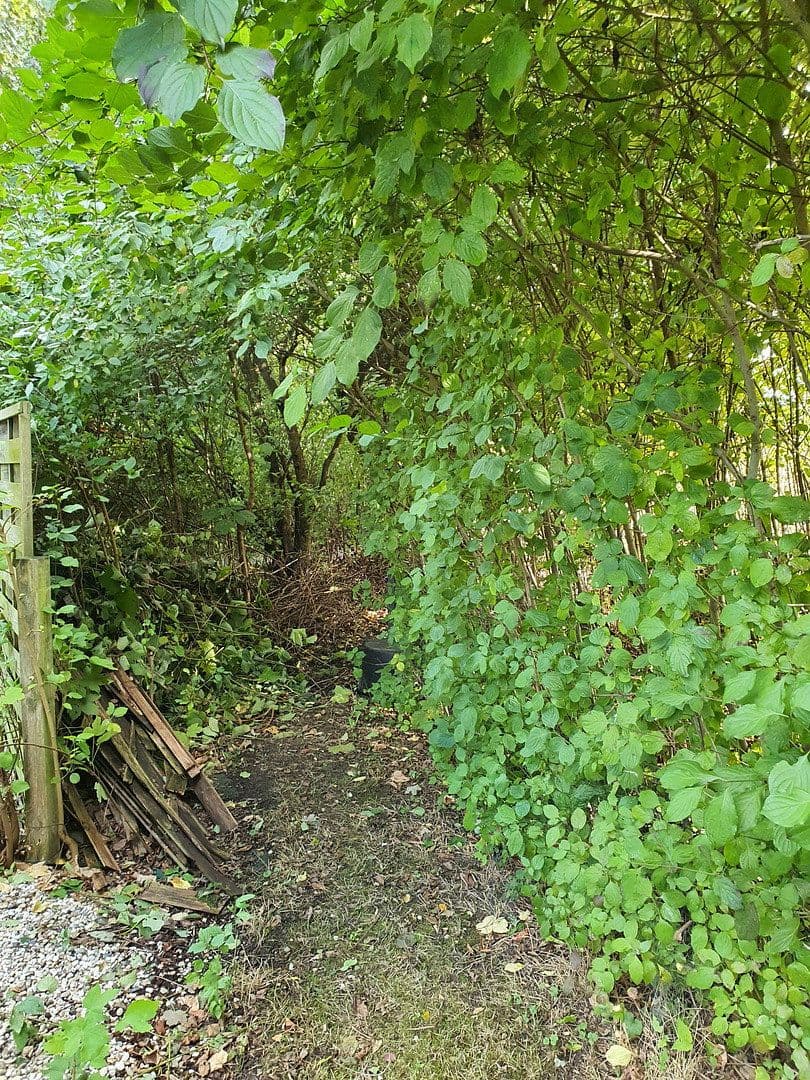 house for sale, 133 m², Wentorf (Amt Sandesneben), Schleswig-Holstein house for sale, 133 m², Wentorf (Amt Sandesneben), Schleswig-Holstein