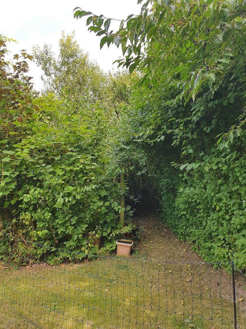 house for sale, 133 m², Wentorf (Amt Sandesneben), Schleswig-Holstein house for sale, 133 m², Wentorf (Amt Sandesneben), Schleswig-Holstein