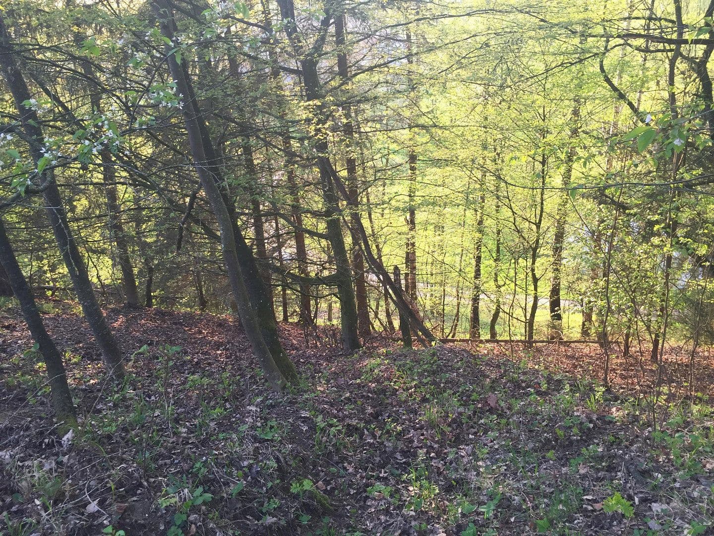 house for sale, 60 m², Adlkofen, Bavaria house for sale, 60 m², Adlkofen, Bavaria