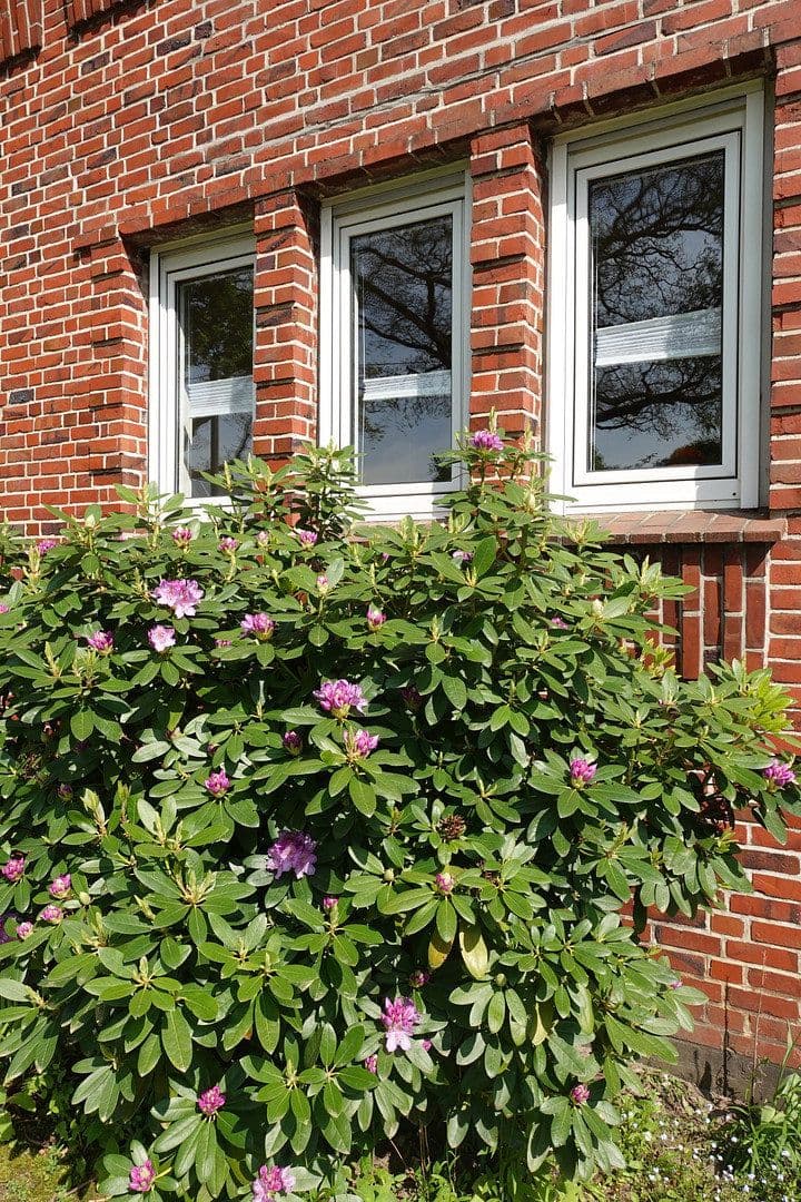 house for sale, 170 m², Hamburg, Hamburg house for sale, 170 m², Hamburg, Hamburg