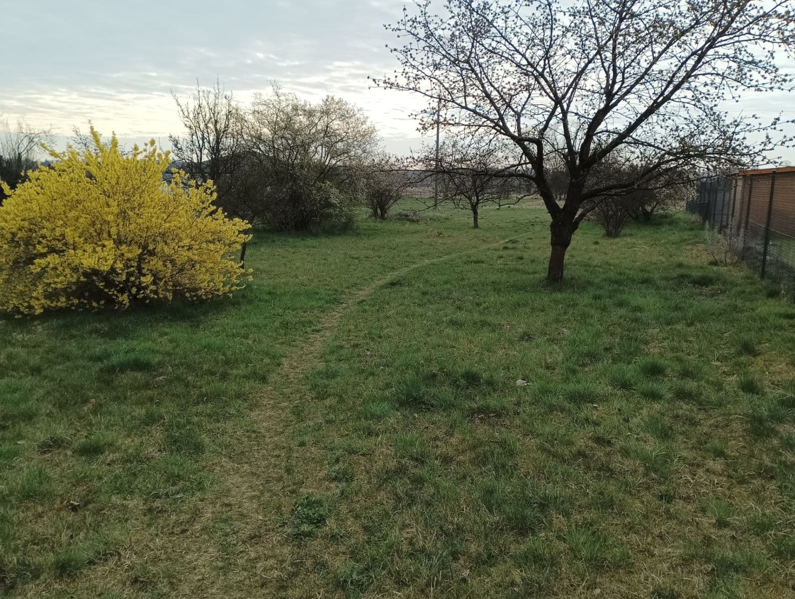 plot for sale, 500 m², Polní, Lázně Bohdaneč, Pardubický Region plot for sale, 500 m², Polní, Lázně Bohdaneč, Pardubický Region