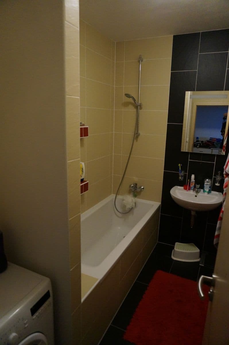 1 bedroom with open-plan kitchen flat to rent, 53 m², Říčanská, Brno, Jihomoravský Region 1 bedroom with open-plan kitchen flat to rent, 53 m², Říčanská, Brno, Jihomoravský Region