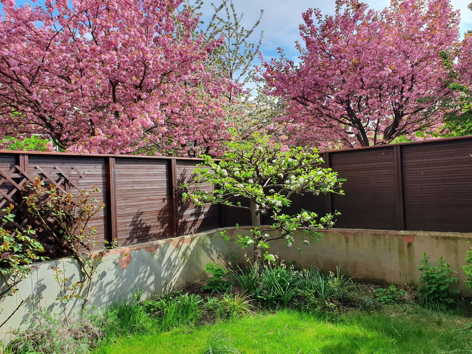 flat to rent, 35 m², Kodymova, Prague, Prague flat to rent, 35 m², Kodymova, Prague, Prague