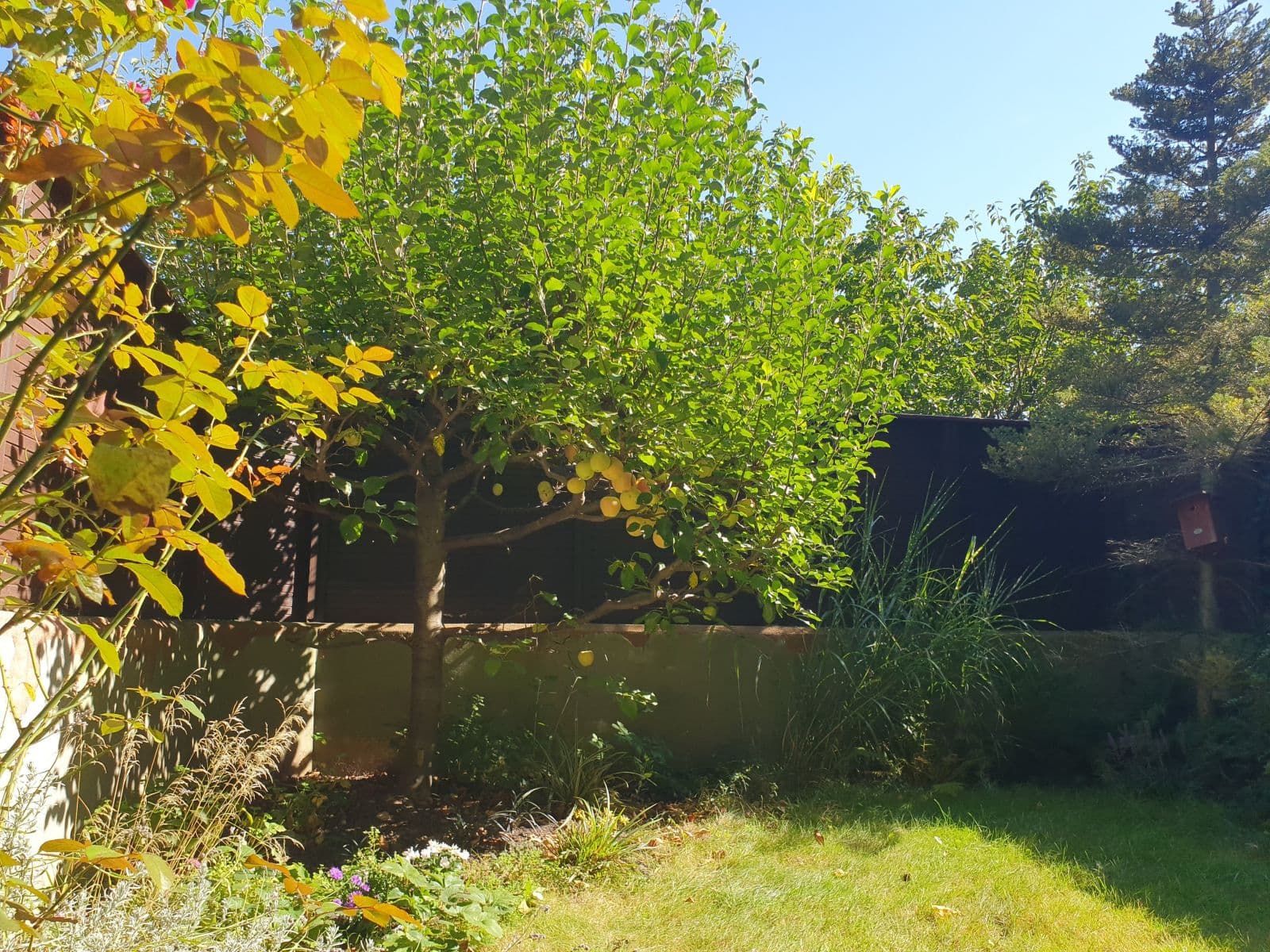 flat to rent, 35 m², Kodymova, Prague, Prague flat to rent, 35 m², Kodymova, Prague, Prague