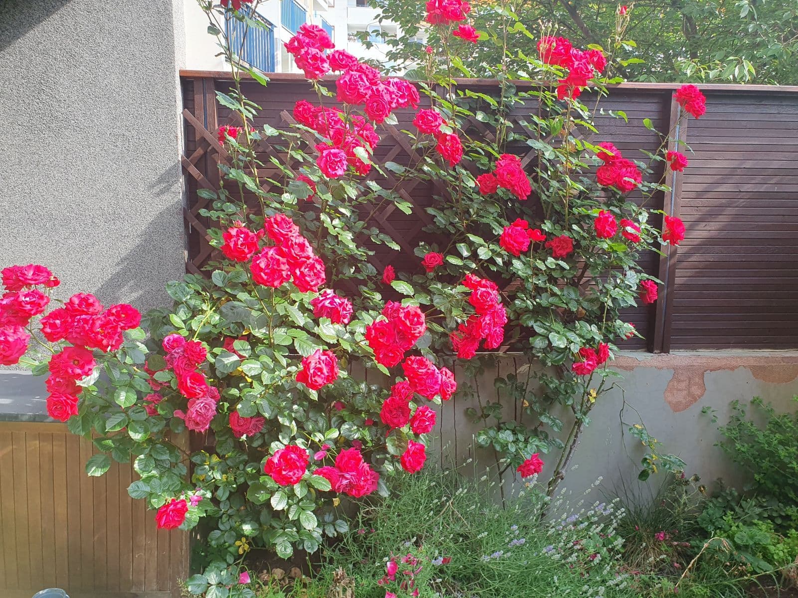 flat to rent, 35 m², Kodymova, Prague, Prague flat to rent, 35 m², Kodymova, Prague, Prague