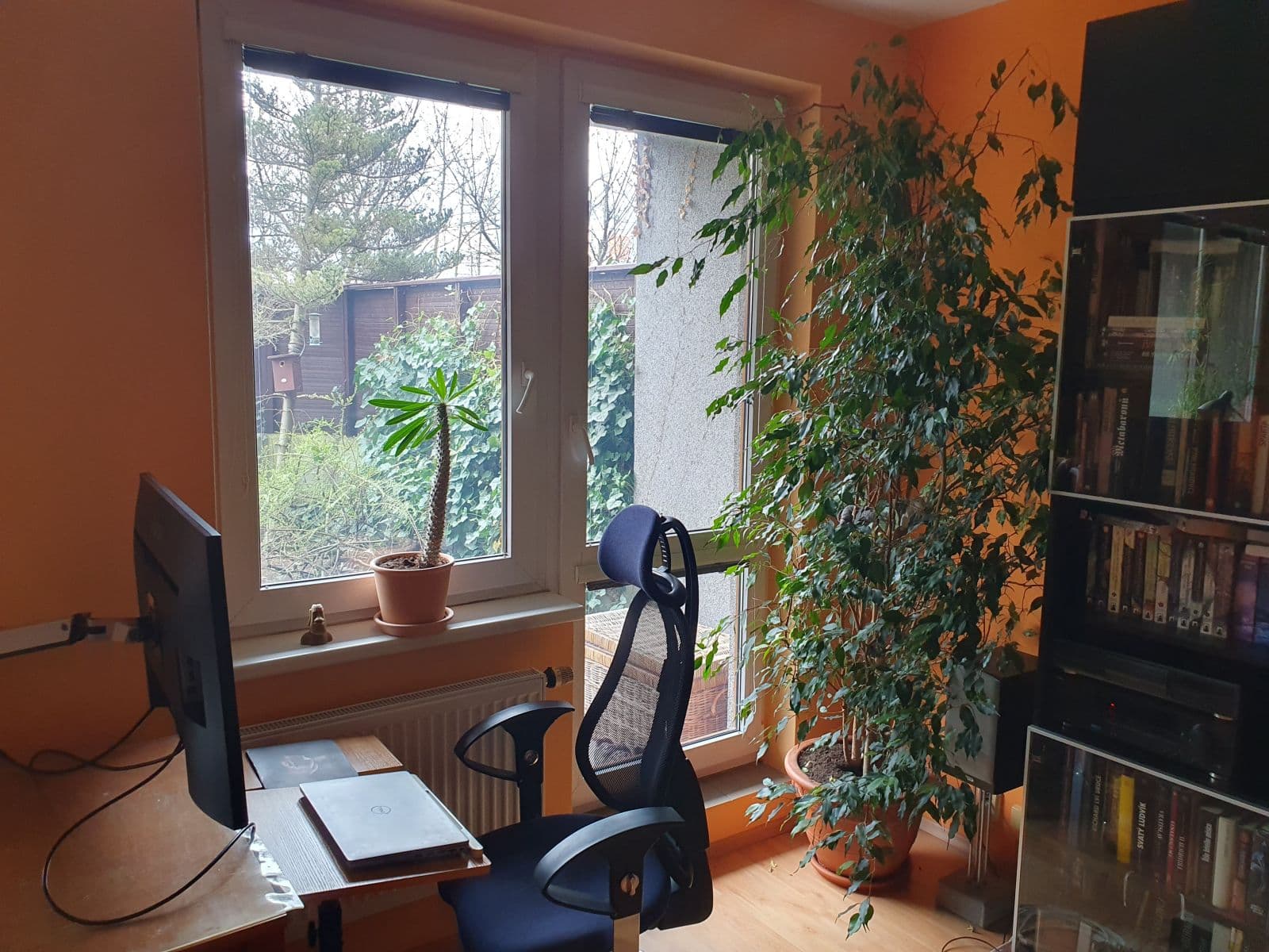 flat to rent, 35 m², Kodymova, Prague, Prague flat to rent, 35 m², Kodymova, Prague, Prague