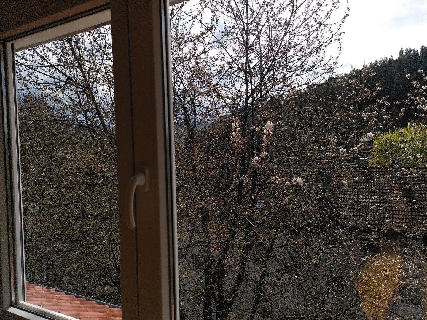 4 bedroom flat for sale, 82 m², Baden-Baden, Baden-Württemberg 4 bedroom flat for sale, 82 m², Baden-Baden, Baden-Württemberg