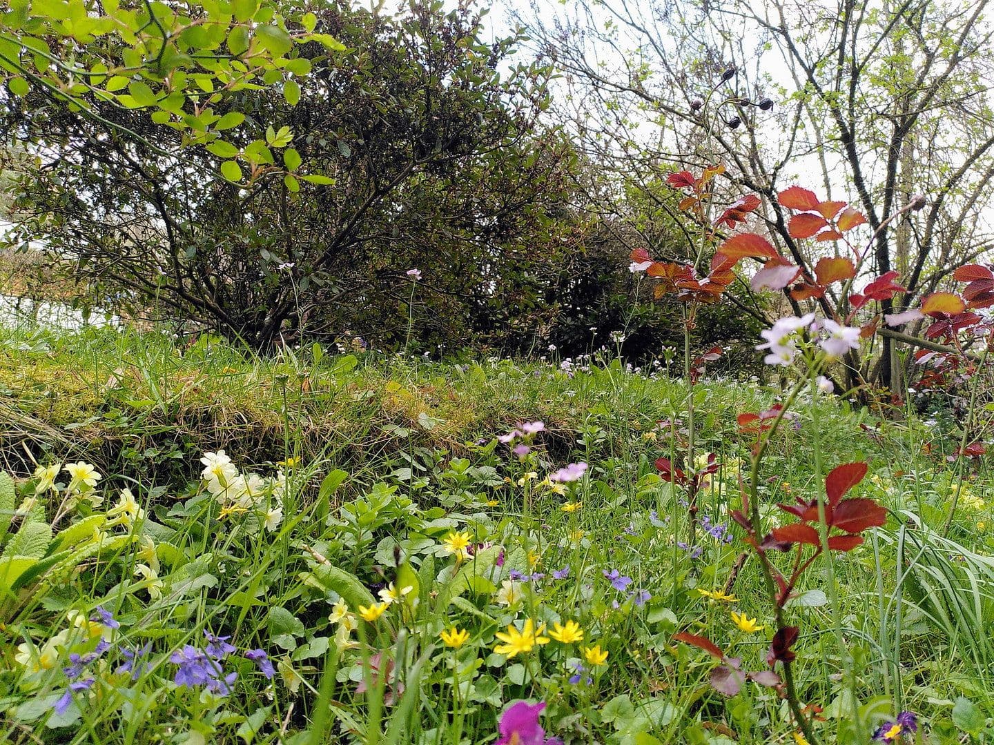 4 bedroom flat for sale, 82 m², Baden-Baden, Baden-Württemberg 4 bedroom flat for sale, 82 m², Baden-Baden, Baden-Württemberg