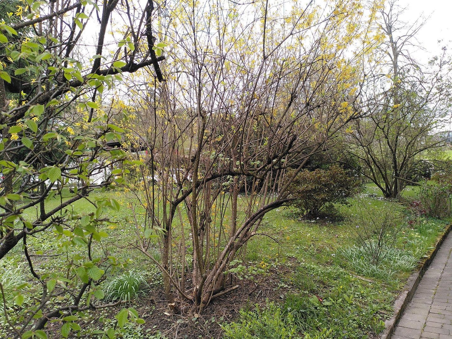 4 bedroom flat for sale, 82 m², Baden-Baden, Baden-Württemberg 4 bedroom flat for sale, 82 m², Baden-Baden, Baden-Württemberg